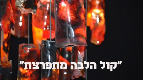 ציפי אחישחר (1).jpg