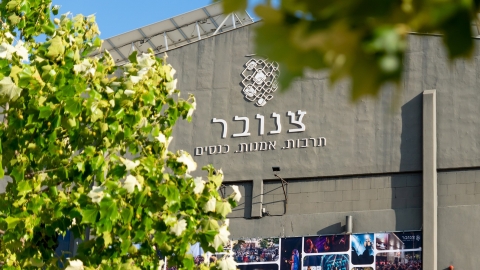 MzV_DSC08421.jpg