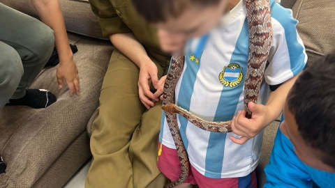 פעילות עם בעלי חיים.jpeg